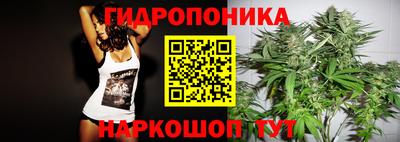 apvp Будённовск