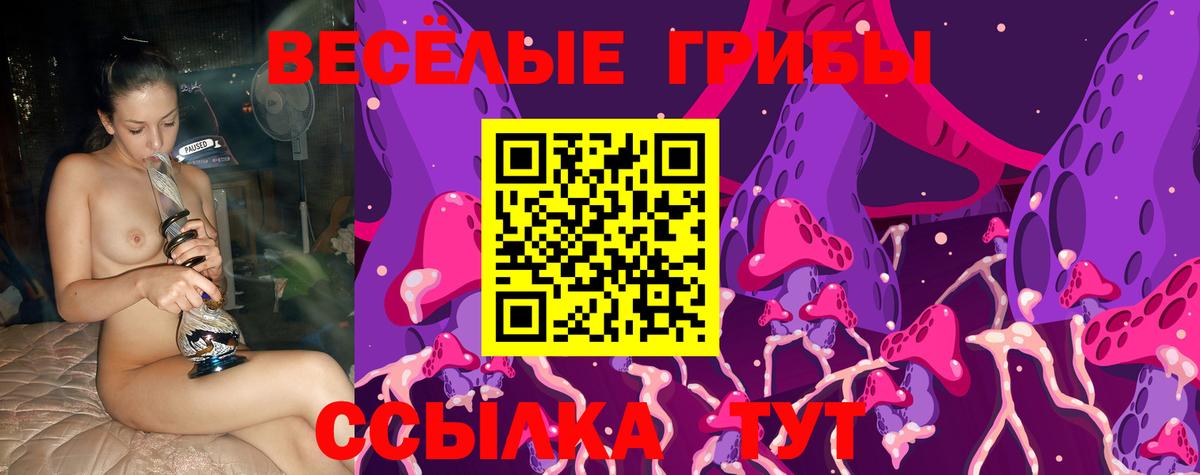 Оренбург  Галлюциногенные грибы Cubensis  Вход с VPN  Галлюциногенные грибы Psilocybine cubensis 